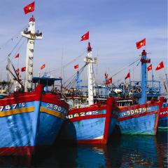 Bảo hiểm tàu thuyền